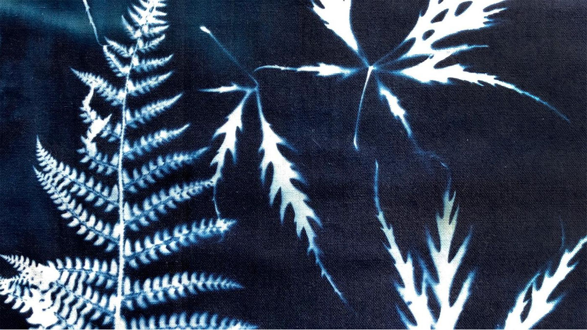 Sun Painting Textiles at Chicago Botanic Garden